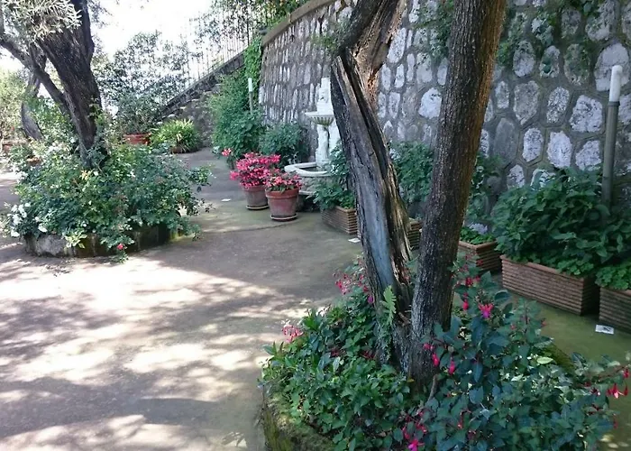 L'ulivina Villa Sorrento