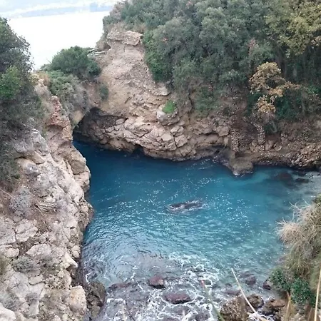 L'ulivina * Sorrento