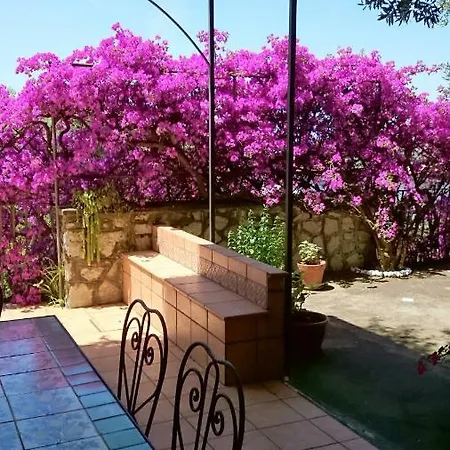 L'ulivina * Półwysep Sorrentyński